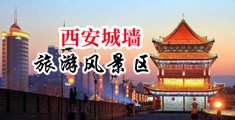 欧美摘花破处中国陕西-西安城墙旅游风景区